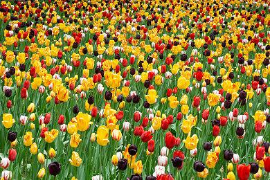 《地心护核者》于6月15日以乘风破浪之势发布全新的内容更新“沉没之海”